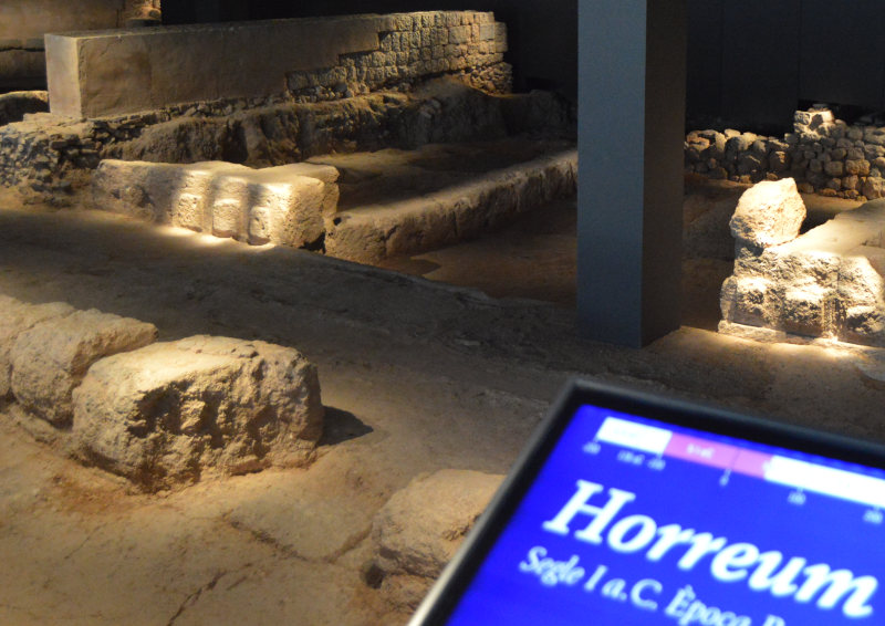 Museo de la almoina, horreum de valentia