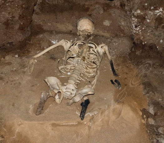 restos humanos museo de la almoina retirados